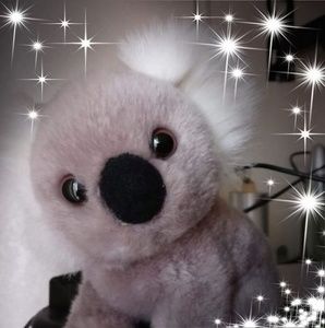 Meet your Posher, Fernando